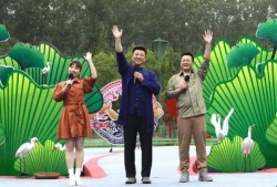 迷蝶岛最新爆料视频,神秘岛屿探险之旅即将开启！