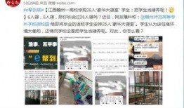 安溪大爆料最新消息今天,今日热点事件深度解析！”