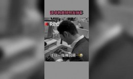 娱乐最新爆料视频大全集,最新视频大全集精彩瞬间回顾