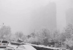 石家庄爆料下雪事件最新,城市交通受阻，市民生活受影响