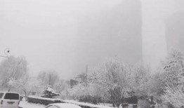 石家庄爆料下雪事件最新,城市交通受阻，市民生活受影响