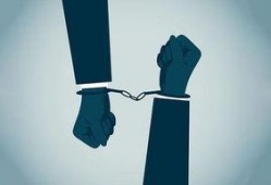 网贷最新内部爆料,风险与机遇并存