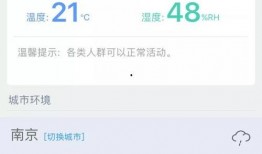 猫咪app官网最新版本爆料,功能升级，体验焕新！